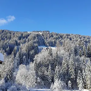  Apartment Les 3 Cols Morzine, 2 Pieces, 2 Personnes France
